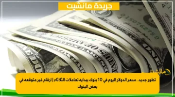 تطور جديد.. سعر الدولار اليوم في 10 بنوك ببداية تعاملات الثلاثاء أرقام غير متوقعة في بعض البنوك 1